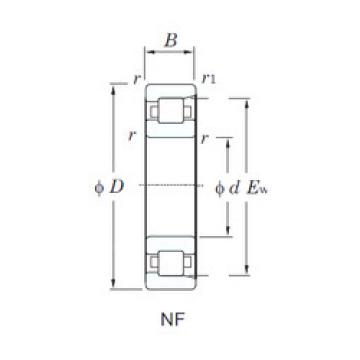 Cylindrical Bearing NF207 KOYO