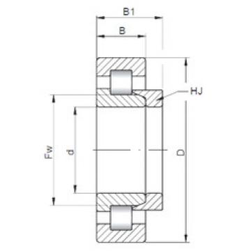 Cylindrical Bearing NH1038 ISO