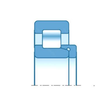 cylindrical bearing nomenclature RNH2313 NTN