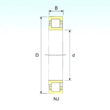 Cylindrical Bearing NJ 1076 ISB