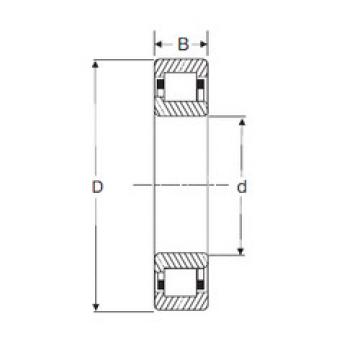 Cylindrical Bearing NJ 204 SIGMA