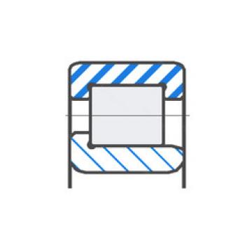 Cylindrical Bearing NJ12214S03H100 SNR