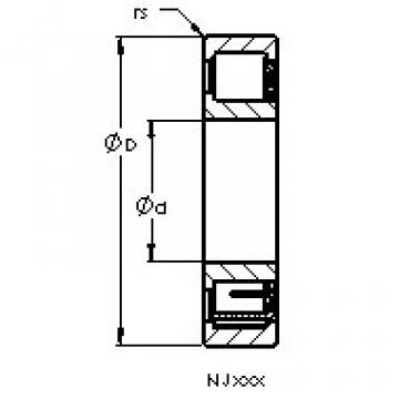 Cylindrical Bearing NJ203 EM6 AST