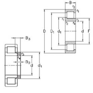 Cylindrical Bearing NJ213-E-M6+HJ213-E NKE