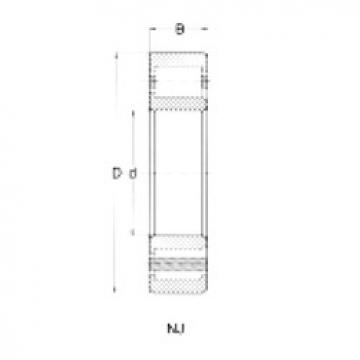 Cylindrical Bearing NJ206 CRAFT