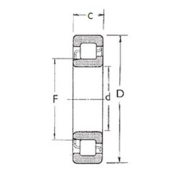 Cylindrical Bearing NJ206 FBJ