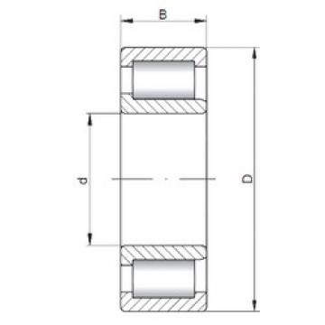 Cylindrical Bearing NJF2307 V CX