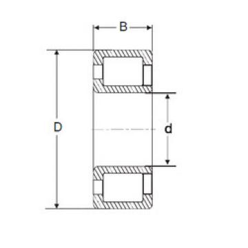 Cylindrical Bearing NJG 2306 VH SIGMA