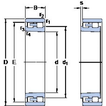 Cylindrical Bearing NN 3005 K/SP SKF