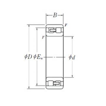 Cylindrical Bearing NN 3005 NSK