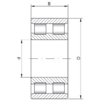 Cylindrical Bearing NN30/500 CX