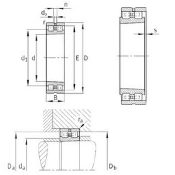 Cylindrical Bearing NN3006-AS-K-M-SP INA