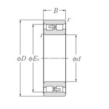 Cylindrical Bearing NN3006 CYSD