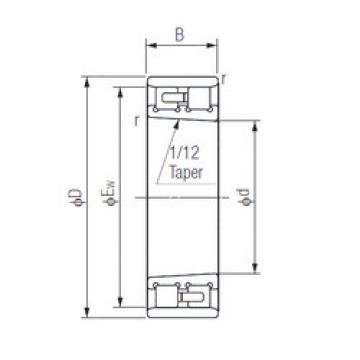 Cylindrical Bearing NN3005K NACHI