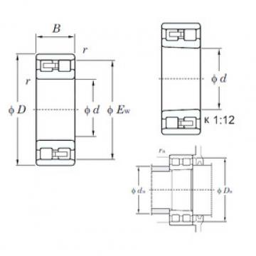 Cylindrical Bearing NN3005K KOYO