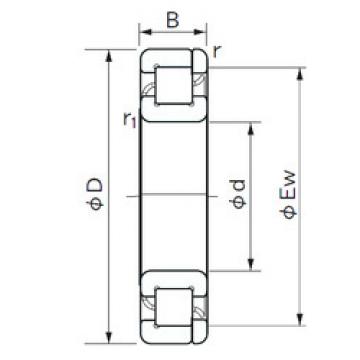 Cylindrical Roller Bearings Distributior NP 1005 NACHI