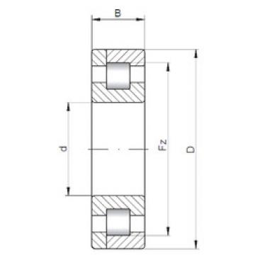 Cylindrical Roller Bearings Distributior NP10/500 ISO