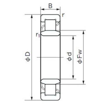 Cylindrical Roller Bearings Distributior NU 1005 NACHI