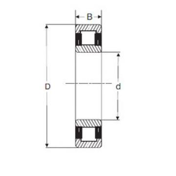 Cylindrical Roller Bearings Distributior NU 205 SIGMA