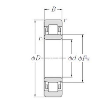 Cylindrical Roller Bearings Distributior NU1005 NTN