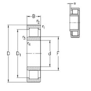 Cylindrical Roller Bearings Distributior NU10/600-M6E-MA6 NKE