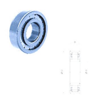 Cylindrical Roller Bearings Distributior NU1008FM Fersa