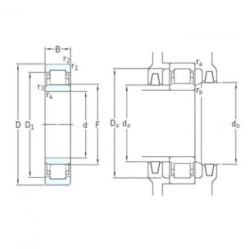 Cylindrical Roller Bearings Distributior NU1030ML/C3VL2071 SKF