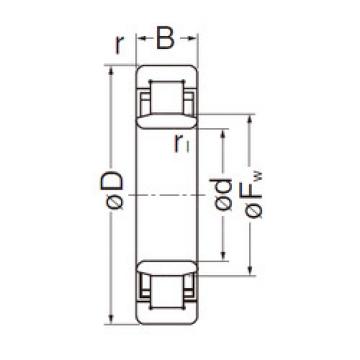 Cylindrical Roller Bearings Distributior NU206EG NACHI