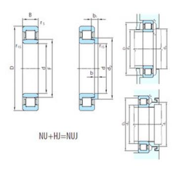 Cylindrical Roller Bearings Distributior NUJ1080 PSL