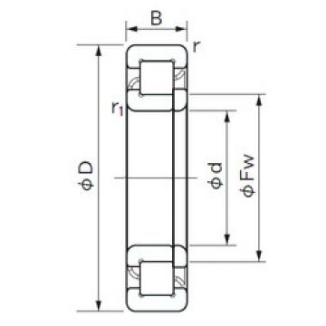 Cylindrical Roller Bearings Distributior NUP 1005 NACHI