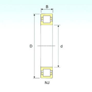 Cylindrical Roller Bearings Distributior NUP 204 ISB