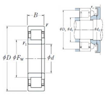 Cylindrical Roller Bearings Distributior NUP 206 EW NSK