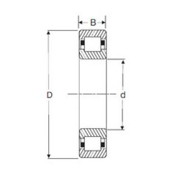 Cylindrical Roller Bearings Distributior NUP 204 SIGMA