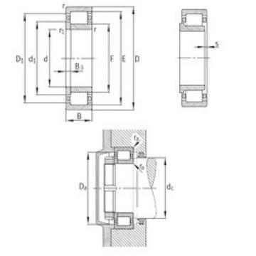 Cylindrical Roller Bearings Distributior NUP2244-EX-M1 FAG