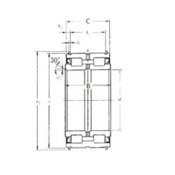 cylindrical bearing nomenclature SL04-5013NR FBJ