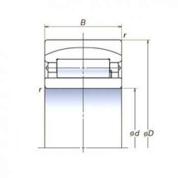 Spherical Roller Bearings 160RUB41 NSK