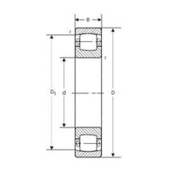 Spherical Roller Bearings 20211 K SIGMA