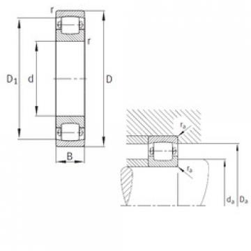 Spherical Roller Bearings 20326-MB FAG