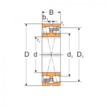 Spherical Roller Bearings 22212 MBW33 MPZ