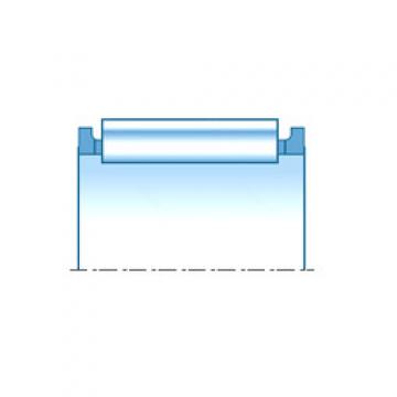 Needle Roller Bearing Manufacture PK100X116X41.3 NTN