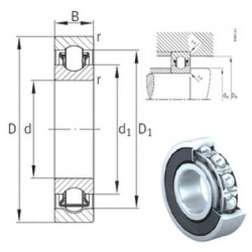 needle roller thrust bearing catalog BXRE201-2RSR INA