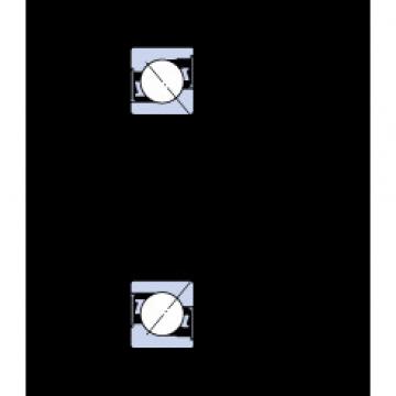 Angular Contact Ball Bearings 7308 BE-2RZP SKF