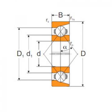 Angular Contact Ball Bearings 7312BP MPZ