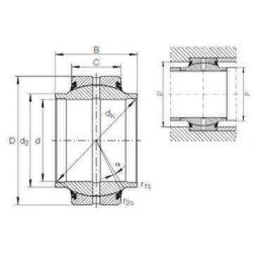 plain bushings bearings GE 20 HO-2RS INA