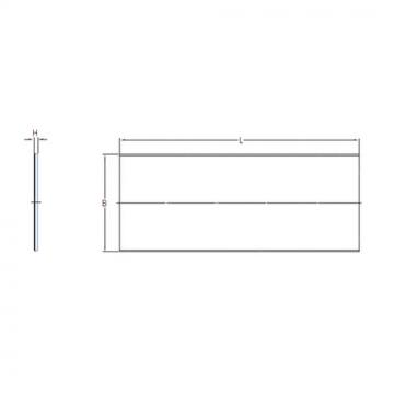 plain bearing lubrication PCMS 2005001.5 E SKF