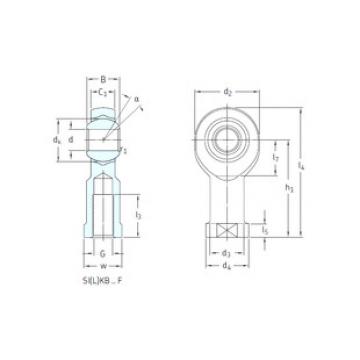 plain bearing lubrication SIKB12F/VZ019 SKF