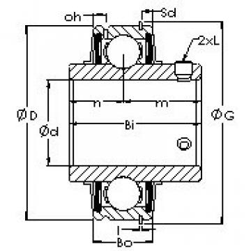 Bearing housed units ER207-22 AST