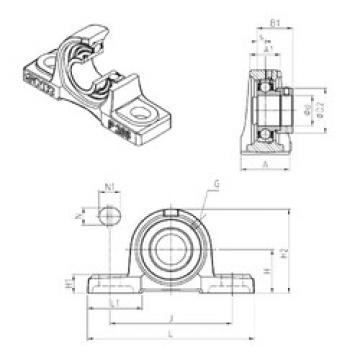 Bearing housed units ESP202 SNR