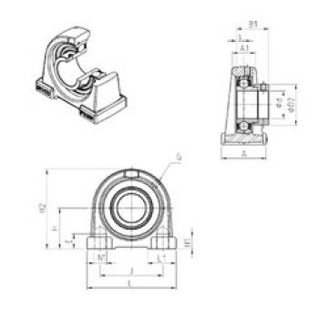 Bearing housed units ESPAE203 SNR