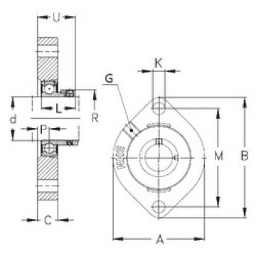 Bearing housed units GLCTE40 NKE